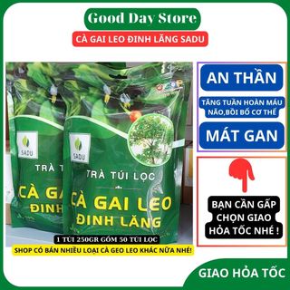 Trà cà gai leo Đinh Lăng túi lọc sadu 250 gram giúp mát gan, thanh lọc thải độc ngủ ngon sâu giấc