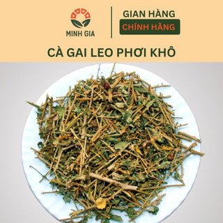 Cà Gai Leo Sấy Khô Đóng Gói 500 Gram Hàng Công Ty Có Hoá Đơn Vùng Trồng Chuẩn GACP-WHO