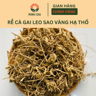  Rễ Cà Gai Leo Sao Vàng Hạ Thổ 500 Gram 3 Năm Tuổi Hoạt Chất Cao