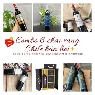 [BEST SELLER] Combo 6 chai vang Chile giá siêu ưu đãi