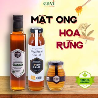  Chai Mật Ong Rừng Gia Lai Chai Mật Ong Hoa Điện Biên Nguyên Chất 