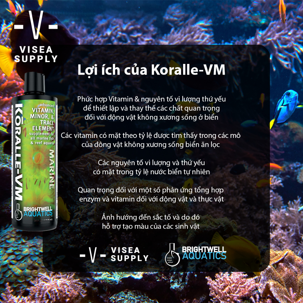 [HÀNG CHÍNH HÃNG] KORALLE-VM BỔ SUNG VITAMIN & KHOÁNG CHẤT – BRIGHTWELL AQUATICS