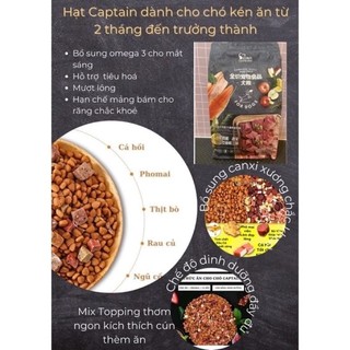Hạt Captain 2.5kg Túi thử 500g/1kg-Giá Tốt] Hạt thức ăn cho chó Captain trộn bò,phô mai,cá hồi(đặc biệt cho
