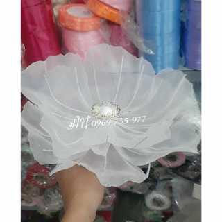 Đầu hoa anh túc size 22cm