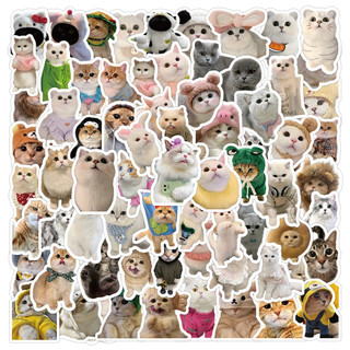 Set 50 sticker mèo chống thấm nước dễ thương dán trang trí mũ bảo hiểm, điện thoại, laptop