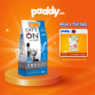  Hạt Cats On mèo mọi lứa tuổi - Hàn Quốc