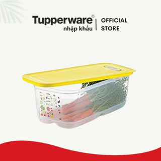 Hộp trữ mát có nút hô hấp Ventsmart Tupperware trữ rau củ quả - Chính hãng - Bảo hành trọn đời