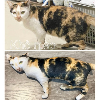 Khô mèo nhồi bông theo yêu cầu