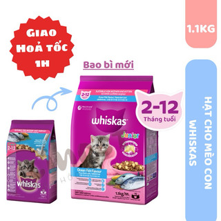 HẠT WHISKAS CHO MÈO CON VỊ CÁ BIỂN & SỮA