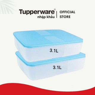 Hộp trữ đông Freezermate Tupperware 1.2l và 3.1l chính hãng - Bảo hành trọn đời toàn quốc