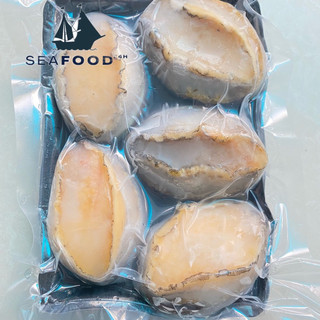 [1KG] Bào ngư Hàn Quốc size 10-12con/kg. Giá sỉ- giao hoả tốc