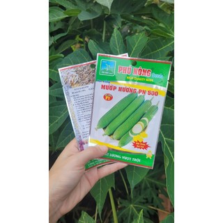 [THIEN THINH SHOP] Combo 2 gói hạt giống Mướp Hương Phú Nông PN 500 gói 1 gram