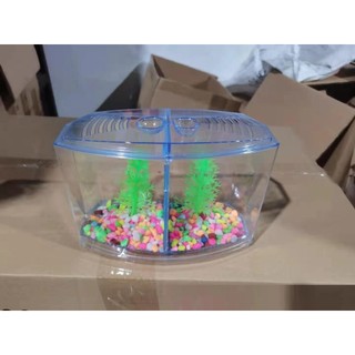 Bể cá betta mini, hồ cá mini để bàn bằng nhựa cao cấp, bể cá 2 ngăn bằng nhựa mica trong suốt đẹp mắt