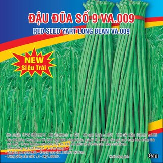 Hạt giống đậu đũa số 9