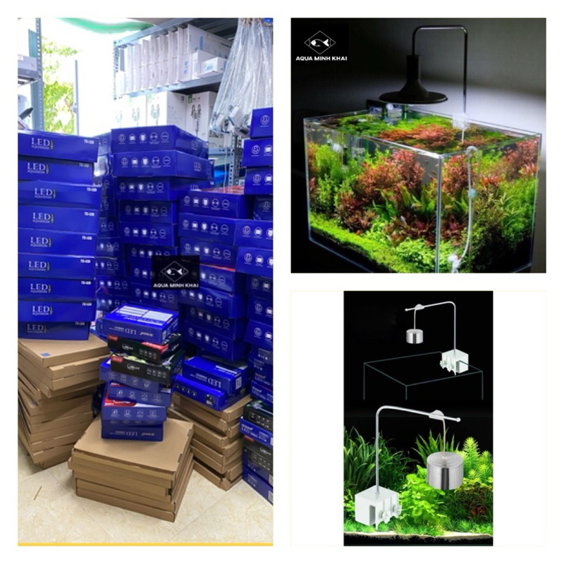 Đèn led Xinma 3w 5w 20w 40w bể cá thủy sinh, terrarium, bán cạn
