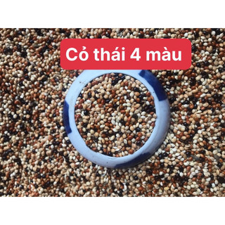cỏ thái 4 màu - cỏ thái  1kg