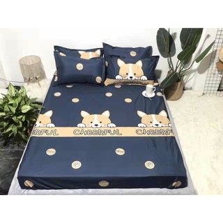 Bộ chăn ga gối cotton poly nhập khẩu,gồm 1 vỏ chăn 1 ga 2 vỏ gối nằm
