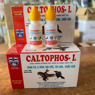 Caltophos-l 10ml tăng cơ, tải cựa, chắc xương; nuôi gà tơ, gà đá, giúp cho gà đá lì đòn sung mãn, bổ sung ngay từ nhỏ