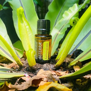 Tinh dầu sả chanh lemongrass tinh dầu trị liệu nguyên chất doterra usa - doterra essential - lemongrass oil 15ml