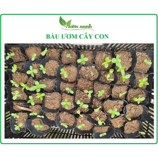 Set 10 bầu ươm cỡ nhỏ KT 10x10cm bầu nilon đen