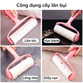 Cây Lăn Bụi Cây Lăn Sạch Lông Thú Cưng