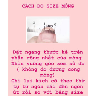 NailBox Chuchu . Nơ Bạc ( Ảnh Shop Tự Chụp )