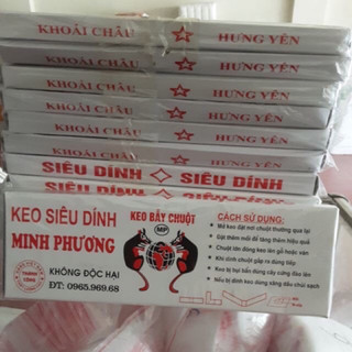Keo dính chuột