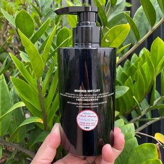 Dầu gội xả giảm gàu 2 trong 1 Morris Motley ANTI-DANDRUFF Conditioning Shampoo 450ml *NEW*