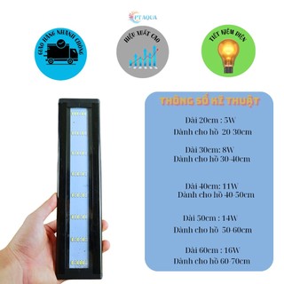 Đèn bể cá ĐỔI MÀU với 3 chế độ sáng màu làm cho hồ cá đẹp và lung linh hơn