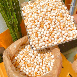 500g Bánh Men Bi Sữa