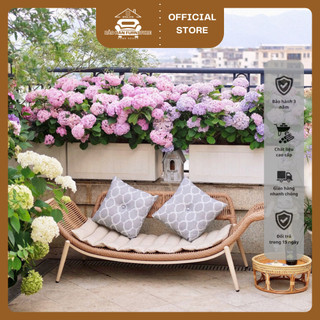  Ghế cánh én đôi mây nhựa CAO CẤP Cổ Điển - Decor thư giãn nội thất sân vườn cafe homestay 