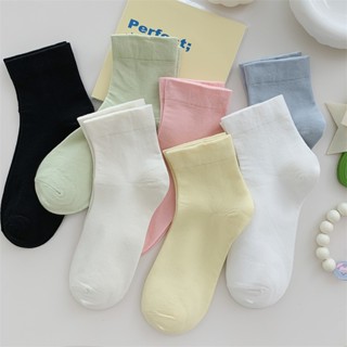 Vớ Tất nữ trơn cổ lửng 7 màu phong cách trẻ trung và năng động.