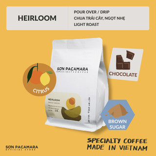 Cà phê heirloom từ sơn farm - chua trái cây ngọt nhẹ - phù hợp pour over / cold brew - rang nhạt