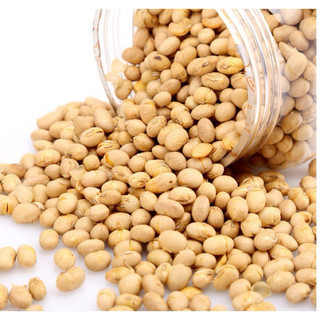 500g Đậu Nành Sấy Giòn