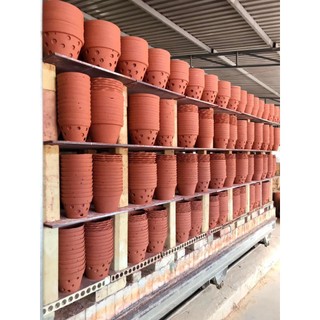  10 cái Chậu Gốm đất nung trồng HOA LAN các zise 12cm - 14cm 