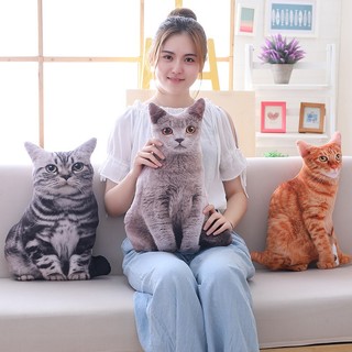  Gấu Bông 3D Hình Mèo Dễ Thương Gấu Bông Mô Phỏng Con Mèo Dễ Thương 