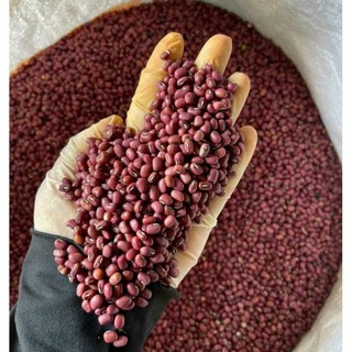 (1kg) Đậu đỏ hạt nhỏ ( đỗ ta - siêu bở)