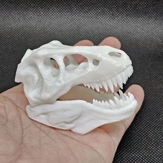 Mô hình đầu lâu khủng long bạo chúa, xương khủng long,Tyrannosaurus rex (T-Rex) trang trí chuồng bò sát, halloween, kinh