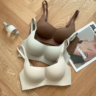  Áo Lót Nâng Ngực Trơn Su Đúc Không Gọng Không Đường May Đệm Mỏng Định Hình Ngực Siêu Đẹp Cao Cấp 8808 