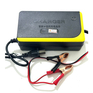 Máy sạc bình acquy 12v tự ngắt, sạc bình acquy 12v từ 3ah - 30ah cho xe máy và ô tô