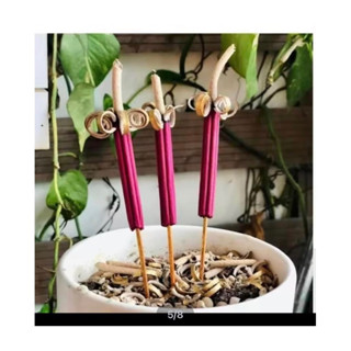 Nhang Nở Hoa (Bó 3 cây Lớn) Khai Hoa Phú Quý Tài Lộc