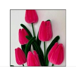 Cành hoa tulip kẽm nhung