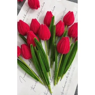 Cành hoa tulip kẽm nhung