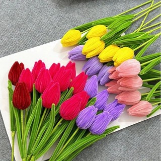 Cành hoa tulip kẽm nhung