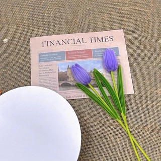Cành hoa tulip kẽm nhung