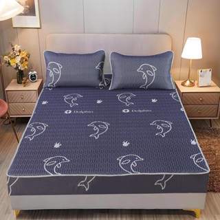 Chiếu điều hòa cao su non, chiếu cao su non bo chun bọc đệm mềm mát tặng kèm 2 vỏ gối cùng mầu