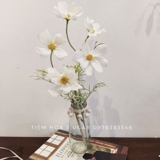 Lọ hoa thủy tinh trang trí phong cách tối giản ( Lọ kèm hoa)