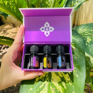 Hộp 3 chai 5ml Oải hương, bạc hà, chanh Doterra Introductort kit