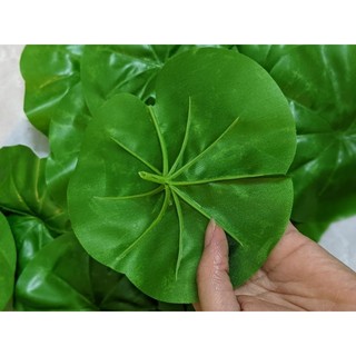 5 Lá sen vải lụa đẹp