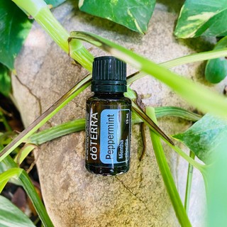 Tinh dầu bạc hà pepermint tinh dầu nguyên chất doterra usa - doterra essential oil - pepermint oil 15ml